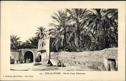 Ak Souk Souq Ahras Algerien, Entrée d'une Palmeraie