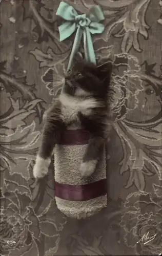 Ak Junge Katze in einem Beutel, Schleifenband