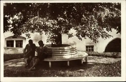 Ak Hohnstein in der Sächsischen Schweiz, Oberer Burghof, Bank um die Burglinde