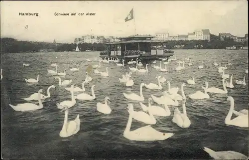 Ak Hamburg, Schwäne auf der Alster