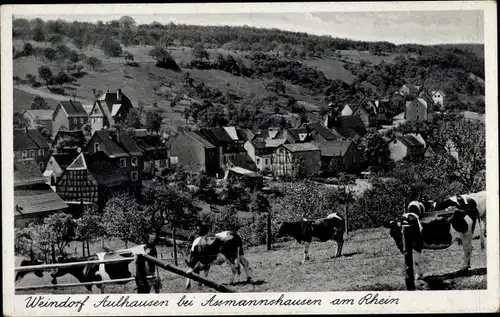 Ak Aulhausen Rüdesheim am Rhein, Totalansicht, Kühe