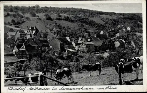 Ak Aulhausen Rüdesheim am Rhein, Totalansicht, Kühe