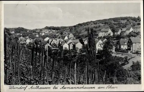 Ak Aulhausen Rüdesheim am Rhein, Totalansicht
