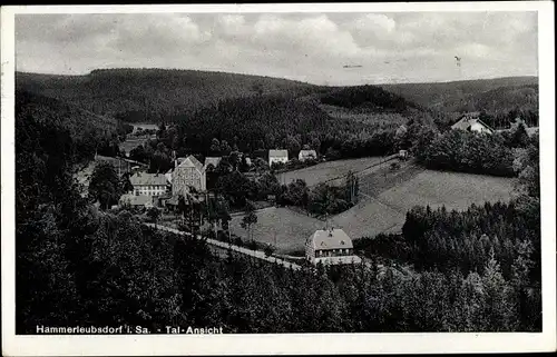 Ak Hammerleubsdorf Leubsdorf in Sachsen, Talansicht