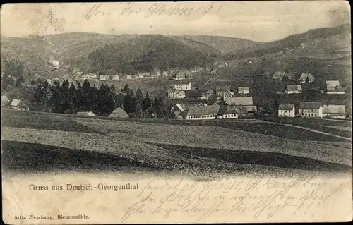 Ak Georgenthal in Thüringen, Panorama vom Ort