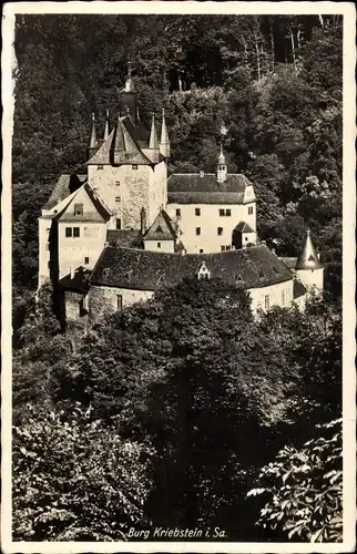 Ak Kriebstein in Mittelsachsen, Burg Kriebstein im Zschopautal, Gesamtansicht