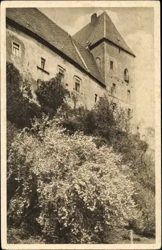 Ak Rochlitz an der Mulde, Blick auf das Schloss Rochlitz