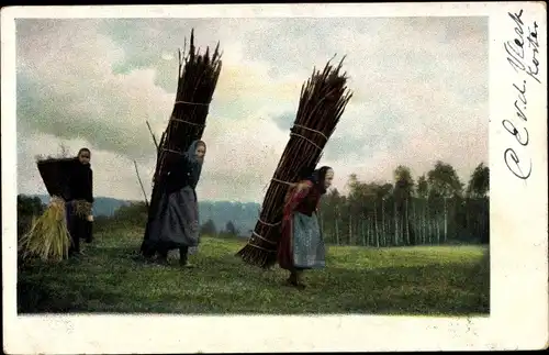 Ak Frauen tragen Holz, Zweige, Landwirtschaft