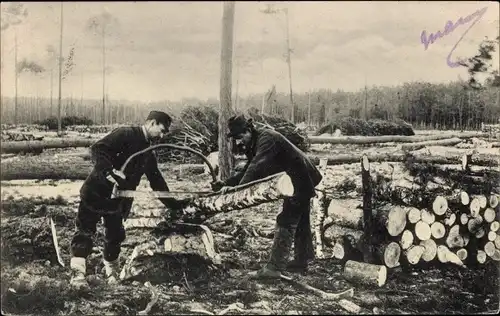 Foto Ak Zwei Männer beim Holzsägen, Holzstücke, Säge