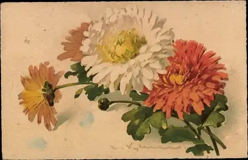 Künstler Ak Klein, C., Blumenstrauß, Blumen