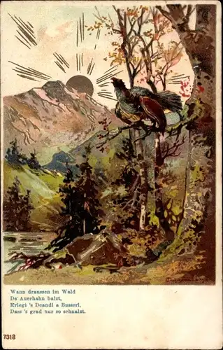 Künstler Litho Auerhuhn am Baum, Sonnenaufgang, Wann draußen im Wald, da Auerhahn balzt...