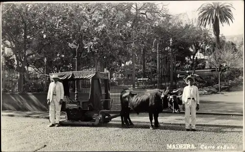 Ak Insel Madeira Portugal, Carro de Bois
