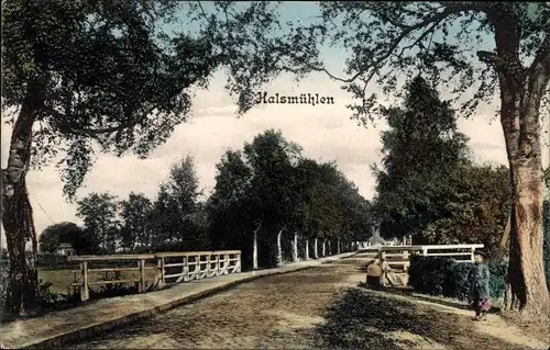 Ak Halsmühlen Dauelsen Verden an der Aller, Straßenpartie, Allee