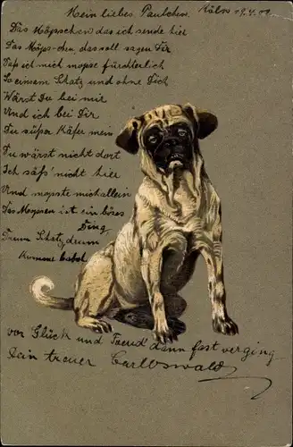 Präge Litho Mops, Hund