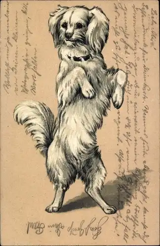 Präge Litho Hund steht auf Hinterpfoten