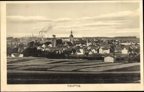 Ak Triptis in Thüringen, Panorama