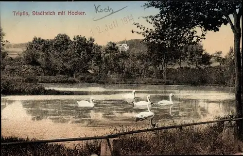 Ak Triptis in Thüringen, Stadtteich mit Hocker