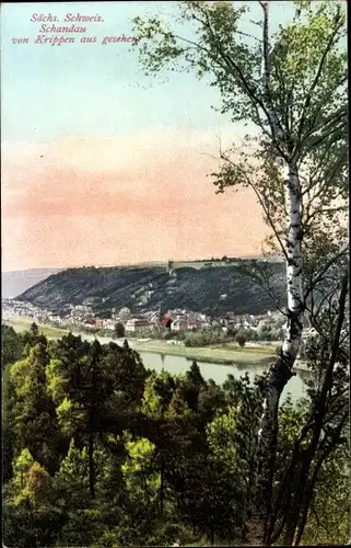 Ak Krippen Bad Schandau Sächsische Schweiz, Panorama