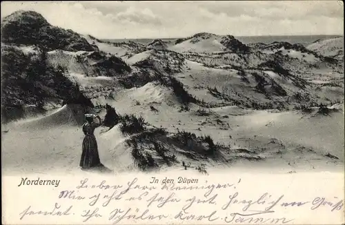 Ak Nordseebad Norderney Ostfriesland, In den Dünen