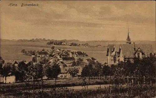 Ak Buntenbock Clausthal Zellerfeld Oberharz, Panorama vom Ort