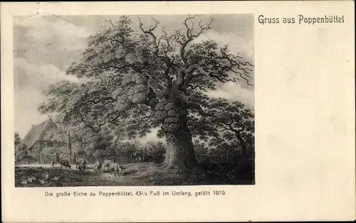 Ak Hamburg Wandsbek Poppenbüttel, Die große Eiche