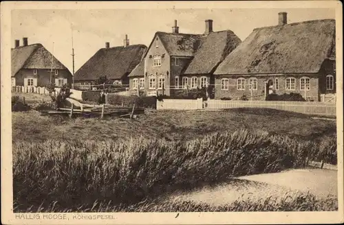 Ak Hallig Hooge in Nordfriesland, Königspesel