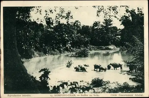 Ak Kompong Cham Kambodscha, Buffles au bain