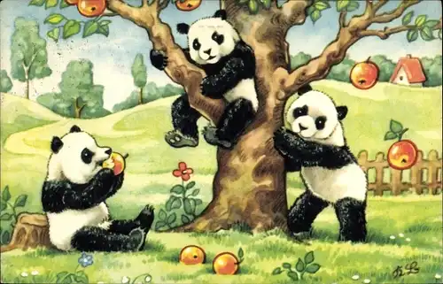 Künstler Ak Pandabären, Apfelbaum, Äpfel