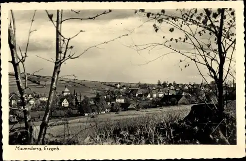 Ak Mauersberg Großrückerswalde im Erzgebirge, Panorama