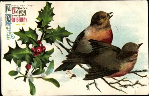Ak Glückwunsch Weihnachten, Stechpalme, Vögel