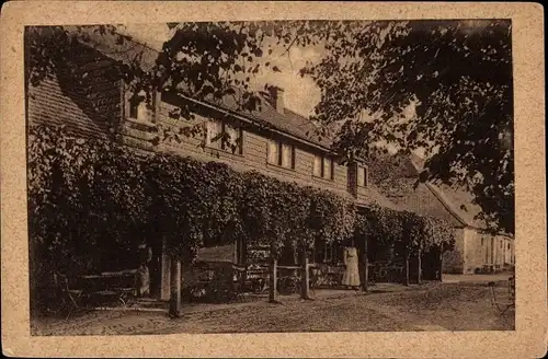 Ak Dresden Langebrück, Hofewiese in der Dresdner Heide