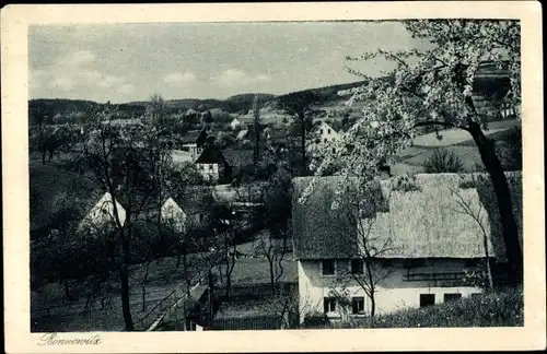 Ak Bonnewitz Pirna in Sachsen, Ortsansicht, Wohnhäuser, Blühender Baum