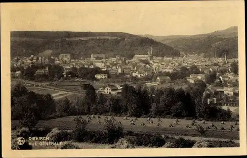 Ak Diekirch Luxemburg, Gesamtansicht