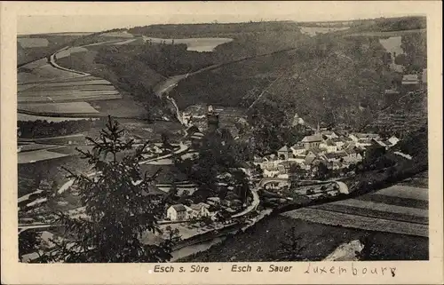 Ak Esch sur Sure Esch an der Sauer Luxemburg, Ort mit Umgebung