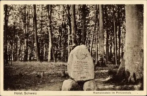 Ak Eutin in Ostholstein, Riemannstein im Prinzenholz, Denkmal