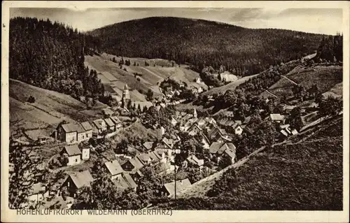 Ak Wildemann Clausthal Zellerfeld im Oberharz, Blick vom Hohenberg