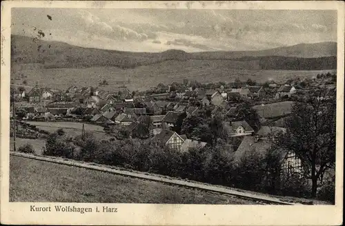Ak Wolfshagen Langelsheim am Harz, Panorama
