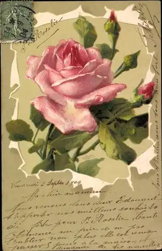 Künstler Litho Klein, C., Rosa Rose