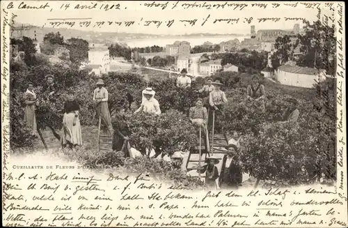 Ak Winterthur Kt. Zürich Schweiz, Cueilette des fleurs