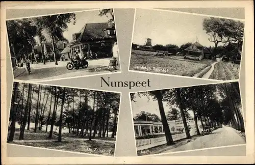 Ak Nunspeet Gelderland, Stationslaan, De Zandkuil, Landelijk Tafereel, Laan