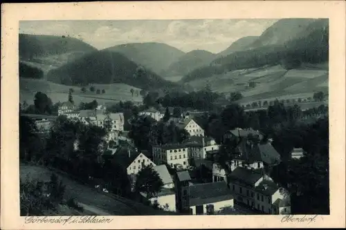 Ak Sokołowsko Görbersdorf Schlesien, Oberdorf, Panorama