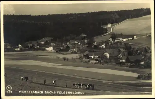 Foto Ak Markersbach Bad Gottleuba in Sachsen, Panorama, Sächs. Felsengebirge, Kuhweide