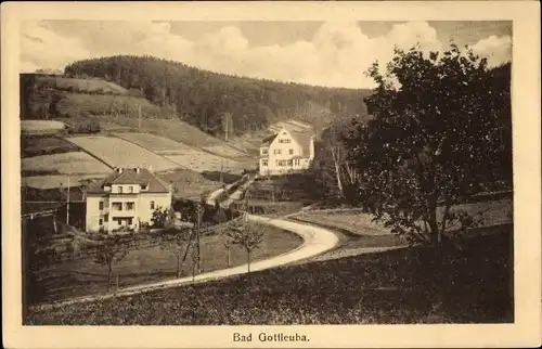 Ak Bad Gottleuba in Sachsen, Teilansicht