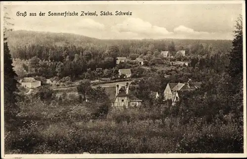Ak Zwiesel Bad Gottleuba in Sachsen, Panorama