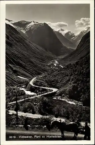 Ak Hjelledalen Norwegen, Videsaeler, Panorama mit gewundener Straße, Pferdekarren, Gebirge