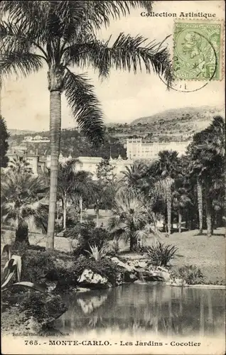 Ak Monte Carlo Monaco, Les Jardins, Cocotier