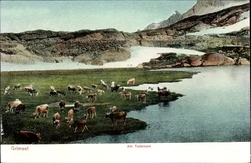 Ak Kanton Bern Schweiz, Grimsel, Grimselpass, Am Todensee