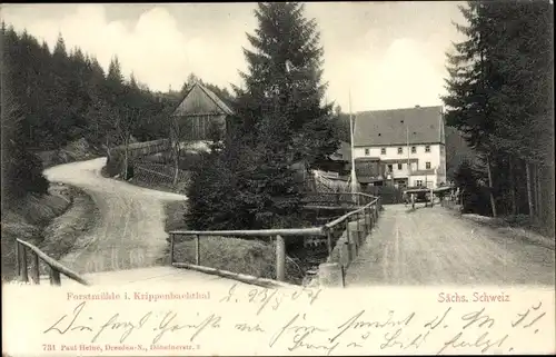 Ak Krippen Bad Schandau Sächsische Schweiz, Forstmühle
