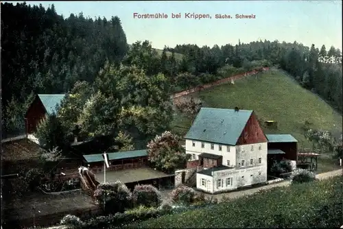 Ak Krippen Bad Schandau an der Elbe, Blick auf die Forstmühle