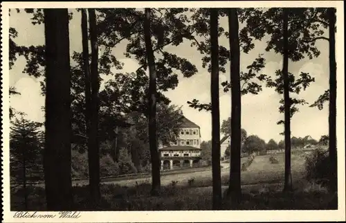 Ak Hohnstein in der Sächsischen Schweiz, Blick vom Wald auf das Post Erholungsheim